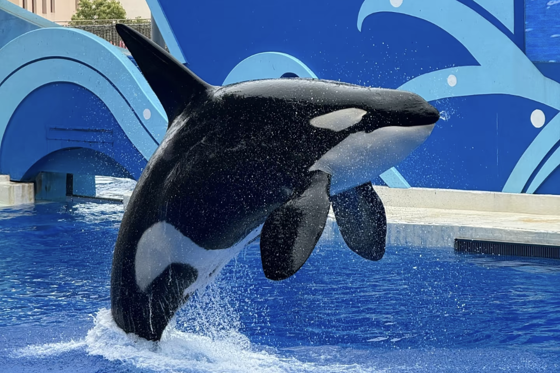 Haichang Ocean Park